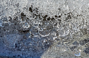 4th Feb 2014 - Ice Lace