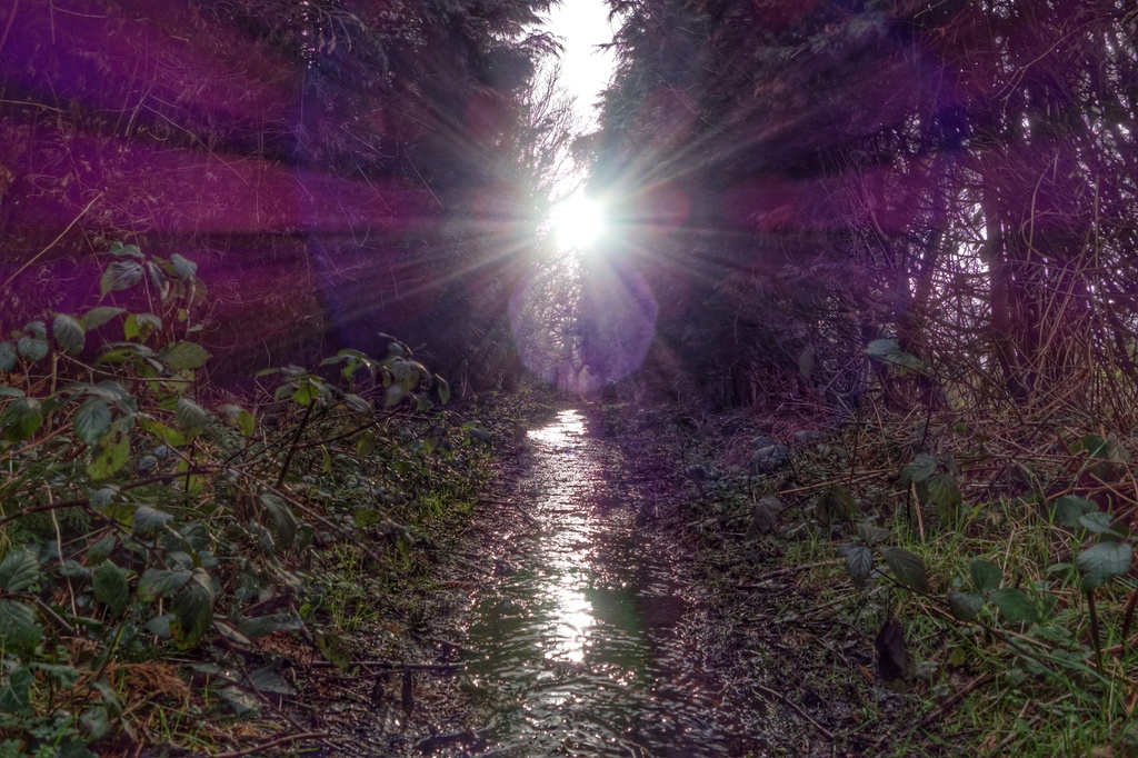 A path of water and light by mattjcuk