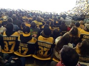 4th Feb 2014 - A Sea of Black and Gold