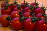 5th Feb 2014 - Cherry tomatoes