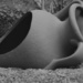 Terracotta Pot by ziggy77