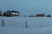 5th Feb 2014 - Ontario Farm