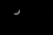 5th Feb 2014 - well it's only a paper moon...
