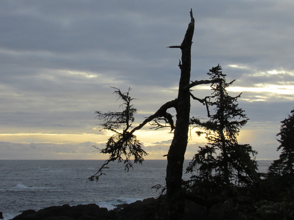 Ucluelet Silhouette by pamelaf