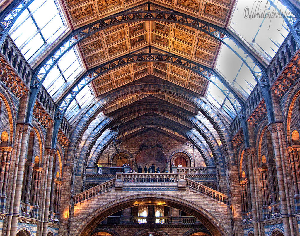 4.2.14 Natural History Museum by stoat