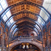 4.2.14 Natural History Museum by stoat