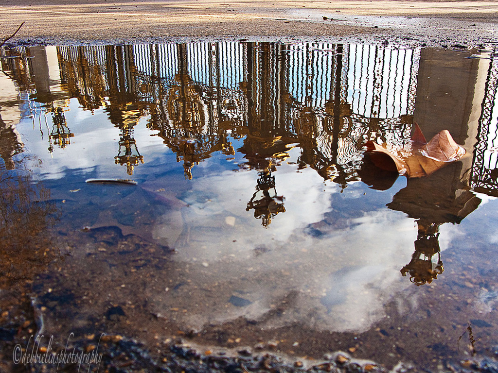 6.2.14 Puddle by stoat