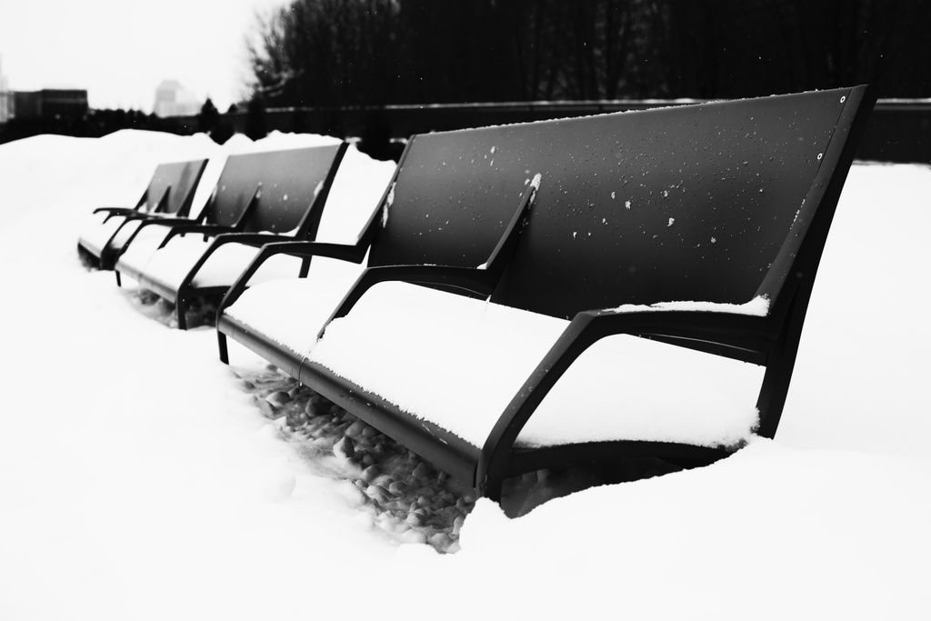 Benches in the Snow by taffy