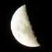 Last Night's Moon by kiwiflora