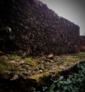 25th Jan 2014 - Exeter City Wall