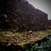 Exeter City Wall by sjc88