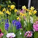 It's already spring at the Florist by parisouailleurs