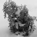 Winter Sculpture by daisymiller