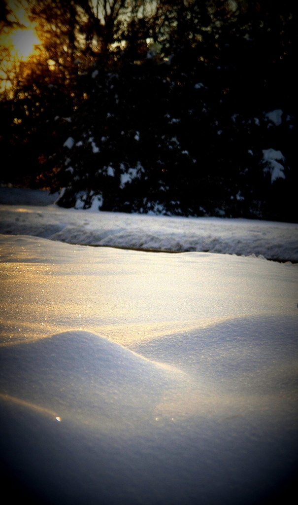 Day 38:  Early Morning Sparkling Snow by sheilalorson