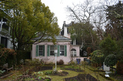 4th Feb 2014 - Charleston garden