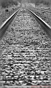 8th Feb 2014 - Railway tracks