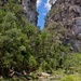 Carnarvon Gorge by bella_ss