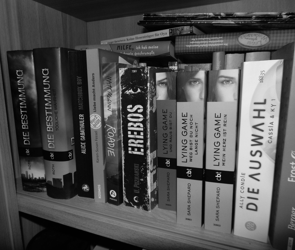 Books (aka my life :p) by justaspark