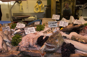 14th Feb 2009 - Fish at Borough Market