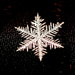 Snowflake At Last by taffy
