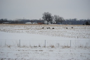 8th Feb 2014 - Fence, Field, Farmhouse