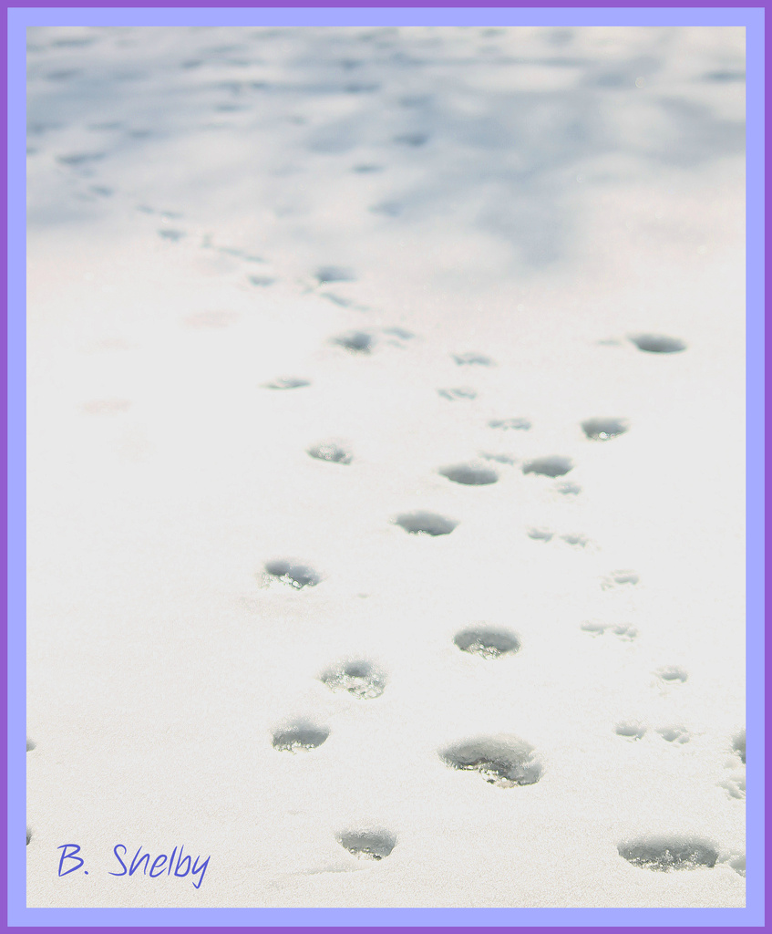 footprints by vernabeth