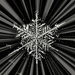 Snowflake in Black and White by taffy