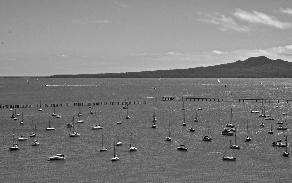 Auckland - City of Sails.   by brigette