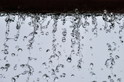 9th Feb 2014 - Raindrops