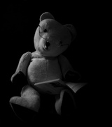 9th Feb 2014 - Ted Bear - the twilight years...