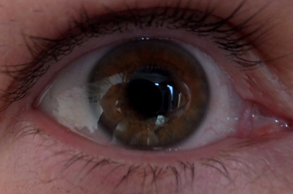 Eye, Selfie by linnypinny
