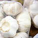 Garlic by boxplayer