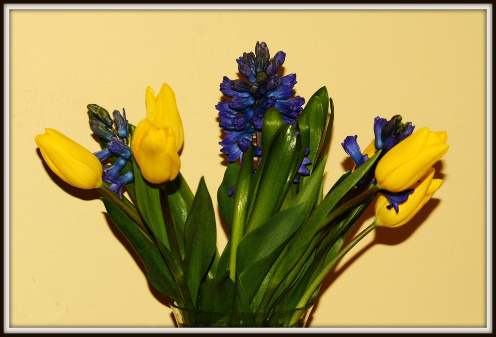 Spring flowers by rosiekind