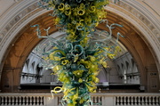 8th Feb 2014 - Chihuly's Chandelier