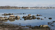 9th Feb 2014 - Rocks and Seaweed