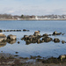 Rocks and Seaweed by mccarth1