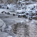 Mallard Winter Ducks by pdulis