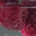 A Bit of Bubbly Berry by grammyn