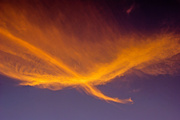 9th Feb 2014 - (Day 361) - Cloud on Fire