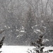 Softly Falling Snow by genealogygenie