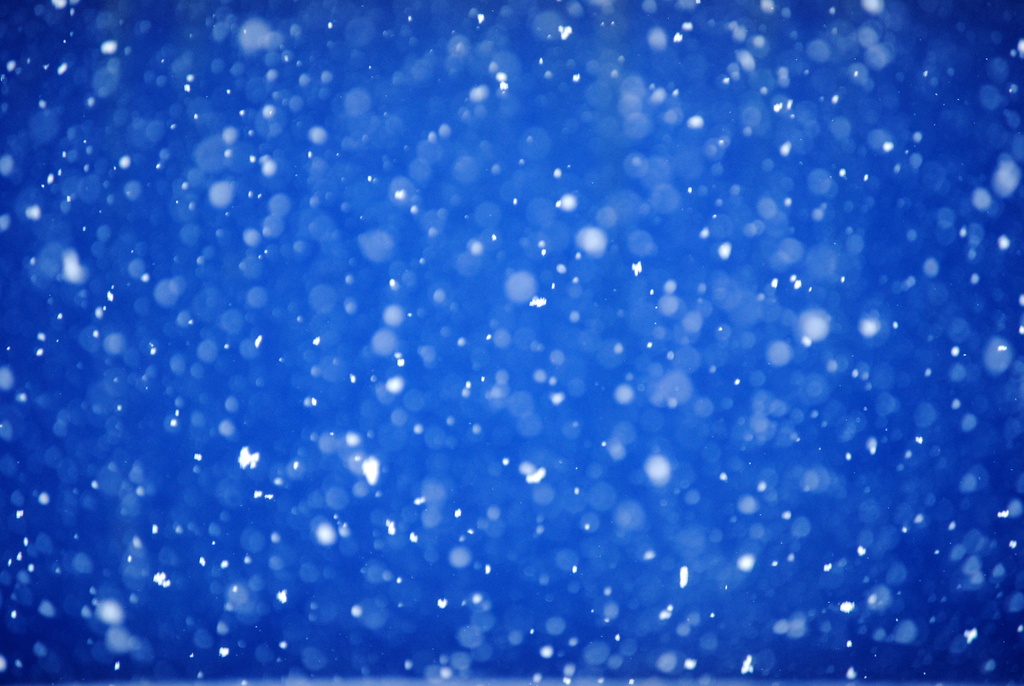 Blue Snow Day by genealogygenie