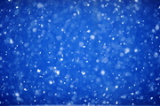 9th Feb 2014 - Blue Snow Day