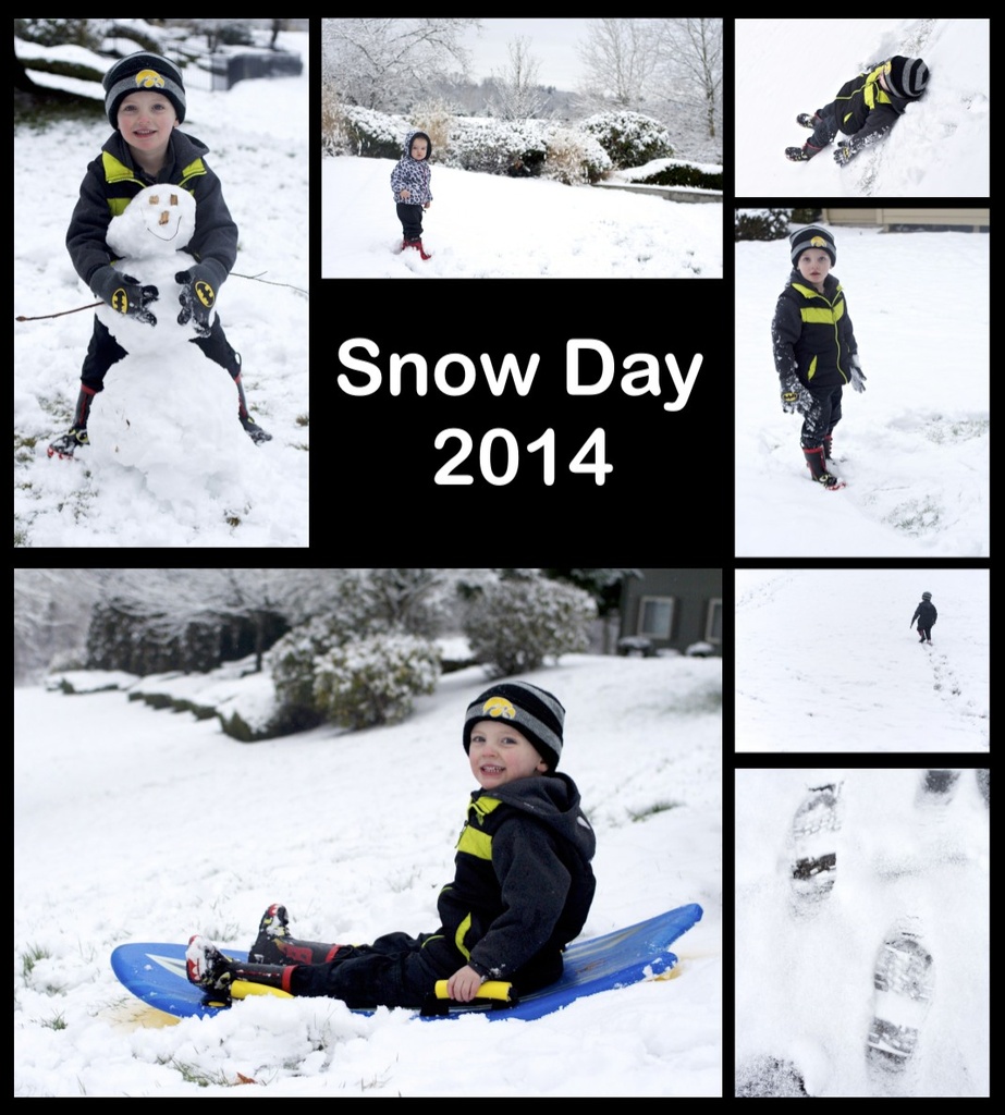 Snow Day 2014 by tina_mac