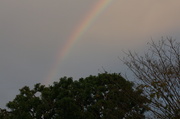 10th Feb 2014 - Rainbow