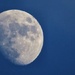 Waxing Gibbous Moon by craftymeg