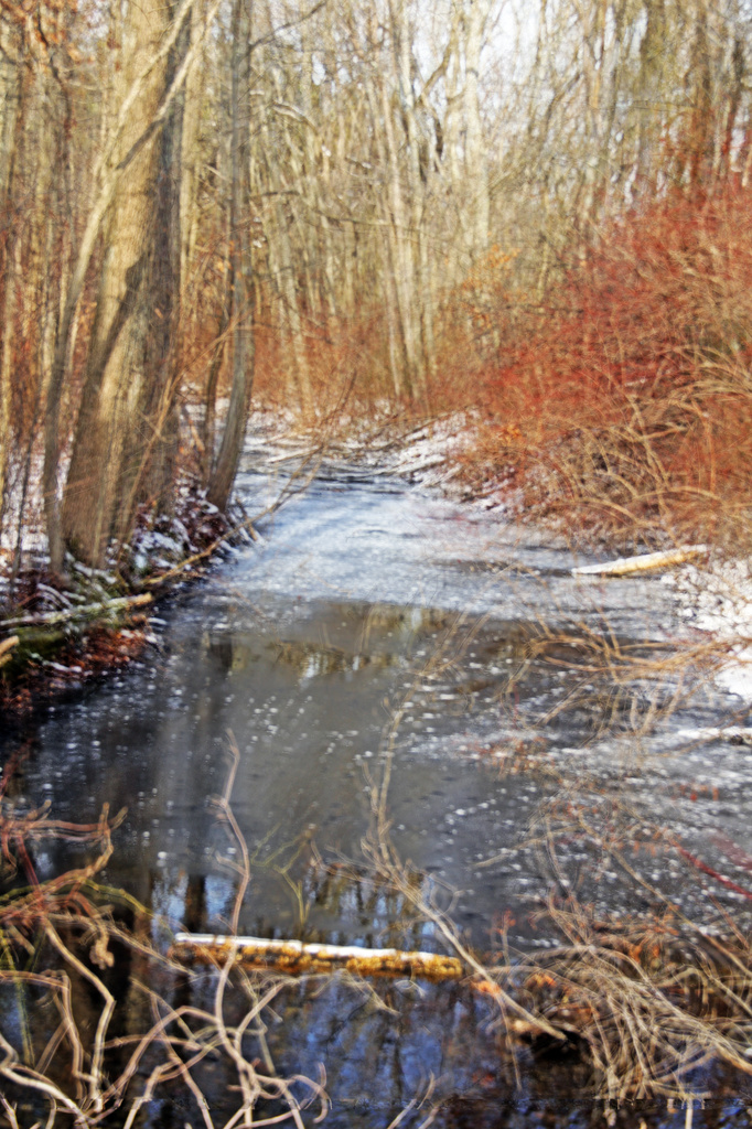 Winter Stream by hjbenson