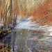 Winter Stream by hjbenson