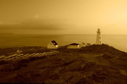 10th Feb 2014 - Golden Lighthouse Sunrise