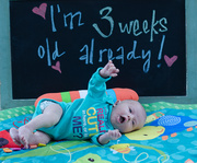 10th Feb 2014 - 3 weeks and counting
