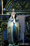 11th Feb 2014 - Our Lady of Lourdes